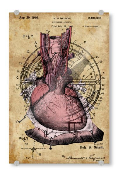 Acrylglasbild "Herz - Steampunk" artboxONE - Menschen,Streetart - Menschen herz,Herz,Anatomie,Medizin,Liebe,Love,Antik,Steampunk