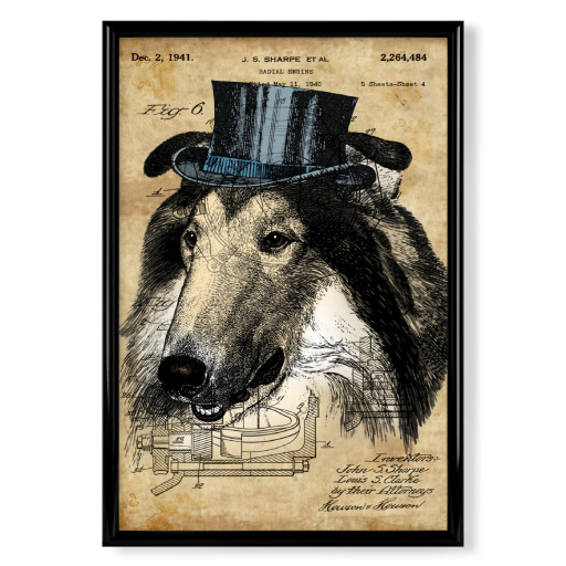 Collie in einem Hut