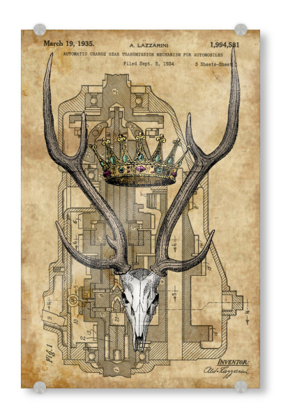 Acrylglasbild "Hirschschädel und eine Krone" artboxONE - Tiere - Hirschschädel,Rehschädel,Reh,Hirsch,Tier,Krone,Steampunk,Königlich