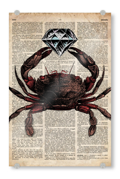 Acrylglasbild "Krabbe - Wörterbuch" artboxONE - Tiere - Meer,Ozean,Wal,Nautisch,Antik,Wörterbuch,Krabbe