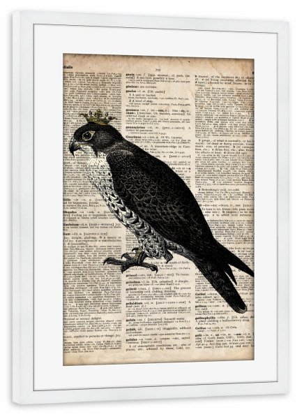 Poster mit Rahmen weiß "Falke in einer Krone" artboxONE - Tiere - Vogel,Tier,Königin,Königlich,Wörterbuch,Antik,Krone,Falke