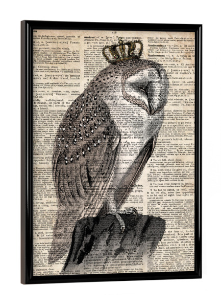 Poster mit schwarzem Rahmen "Königin Schleiereule" artboxONE - Tiere - Eule,Vogel,Tier,Königin,Königlich,Wörterbuch,Antik,Vintage,Schleiereule