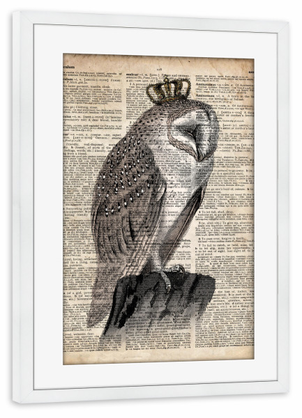 Poster mit Rahmen weiß "Königin Schleiereule" artboxONE - Tiere - Eule,Vogel,Tier,Königin,Königlich,Wörterbuch,Antik,Vintage,Schleiereule