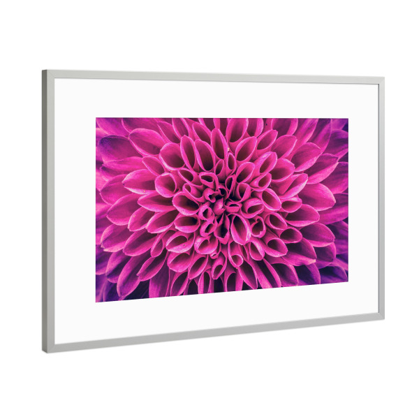 Poster mit Rahmen Silber "Blume pink lila" artboxONE - Floral,Abstrakt - Blume,Blüte