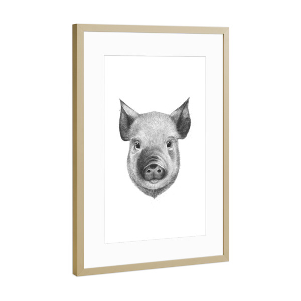 Poster mit Rahmen Gold "Pig boy" artboxONE - Tiere,Schwarzweiß - Pig,Black and white,Cute,Graphic