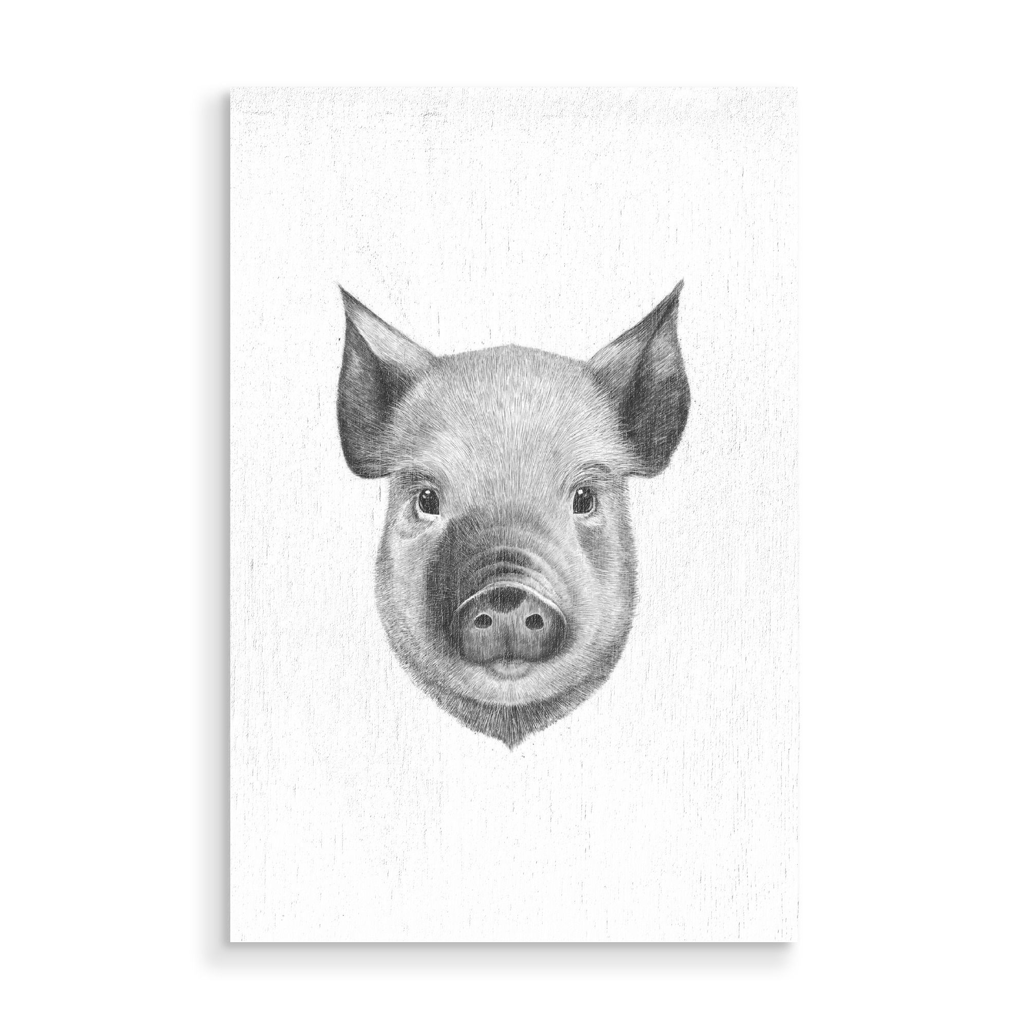 Holzbild "Pig boy" artboxONE - Tiere,Schwarzweiß - Pig,Black and white,Cute,Graphic