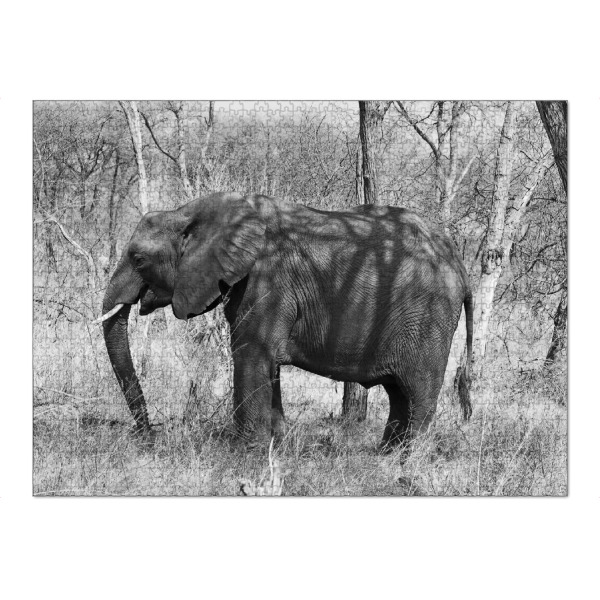 Puzzle Ravensburger "Elefant im Busch" artboxONE - Tiere,Schwarzweiß,Reise / Afrika - Elefant,Zimbabwe,Busch,Elfenbein - Bild elefant
