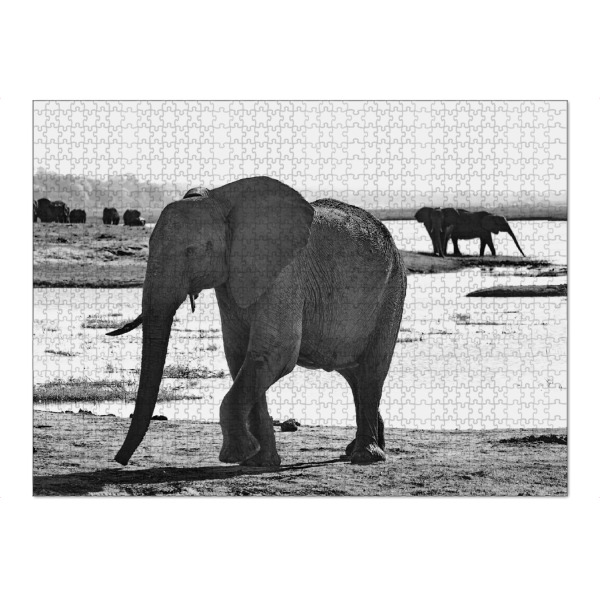 Puzzle Ravensburger "Elefant am Fluss" artboxONE - Tiere,Schwarzweiß,Reise / Afrika - Elefant,Zimbabwe,Elfenbein - Bild elefant