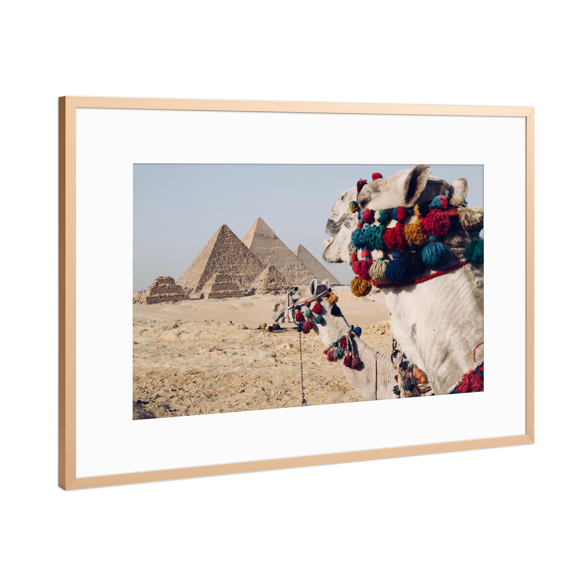 Poster mit Rahmen Kupfer "Pyramiden mit Kamel" artboxONE - Reise,Reise / Länder - Kamel,Wüste,ägypten,Pyramide