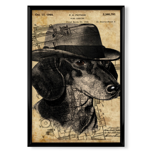 Dackel in einem Hut Dackel in einem Hut