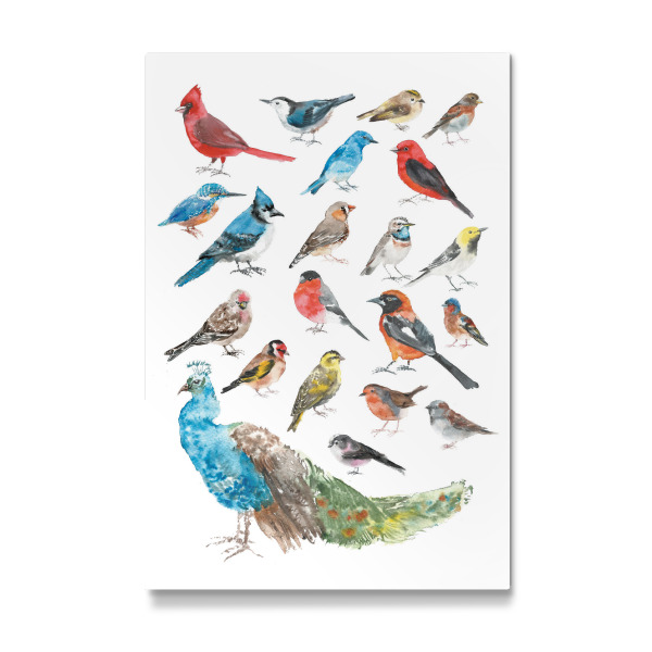 Galerie-Print "Vögel Aquarell" 30x20 cm artboxONE