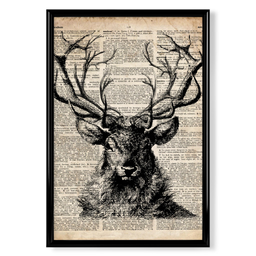 Hirsch - Wörterbuch