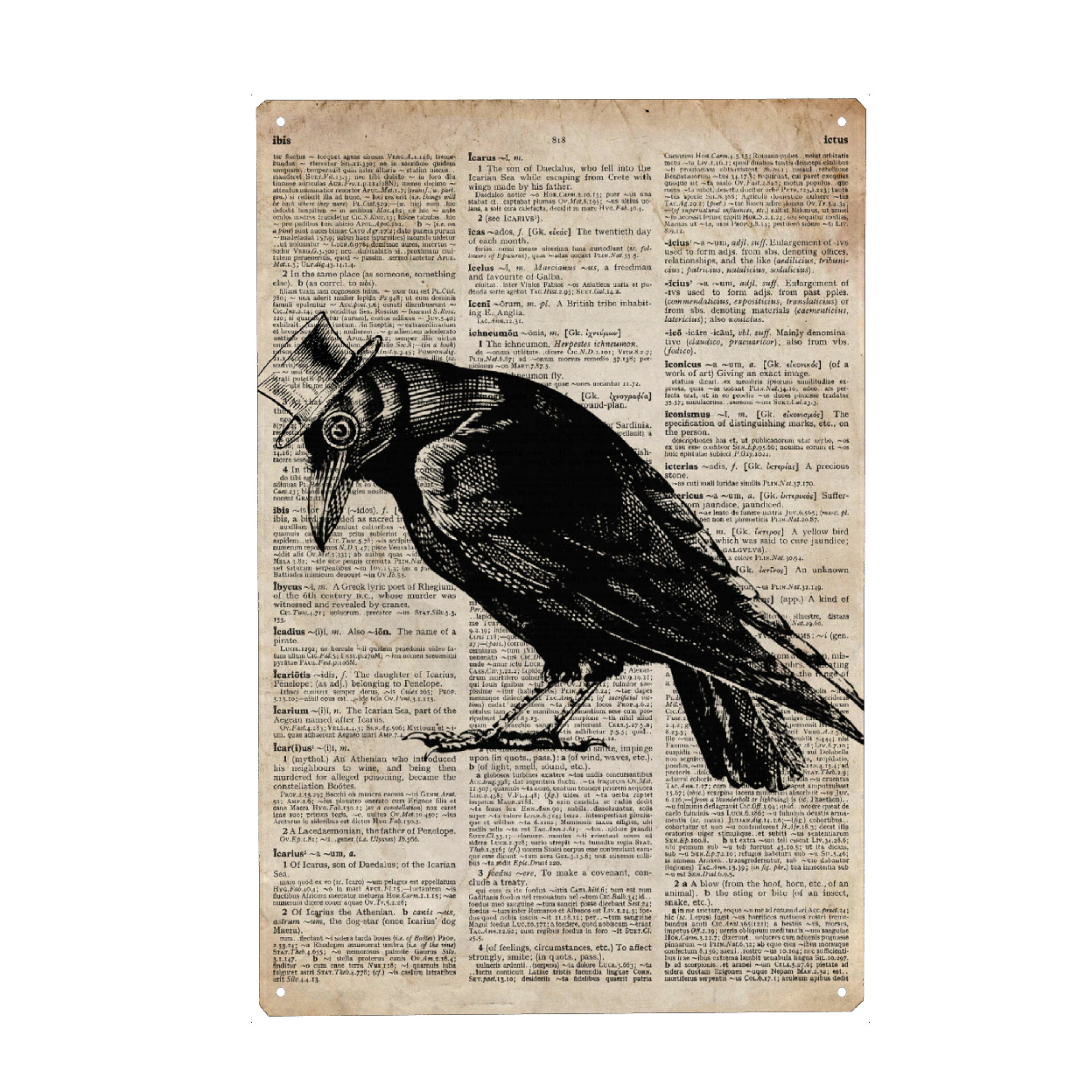 Metall Poster "Steampunk Rabe" artboxONE - Tiere,Schwarzweiß - Hut,Vogel,Tier,Wörterbuch,Antik,Vintage,Gentleman,Rabe,Steampunk - Blechschild