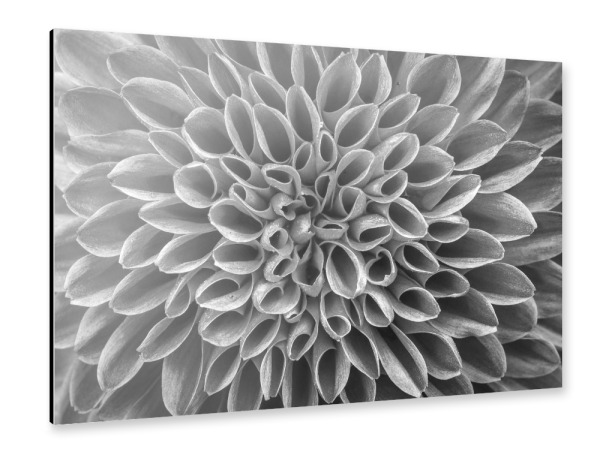 Alu-Dibond "Blüten Muster" 30x20 cm artboxONE