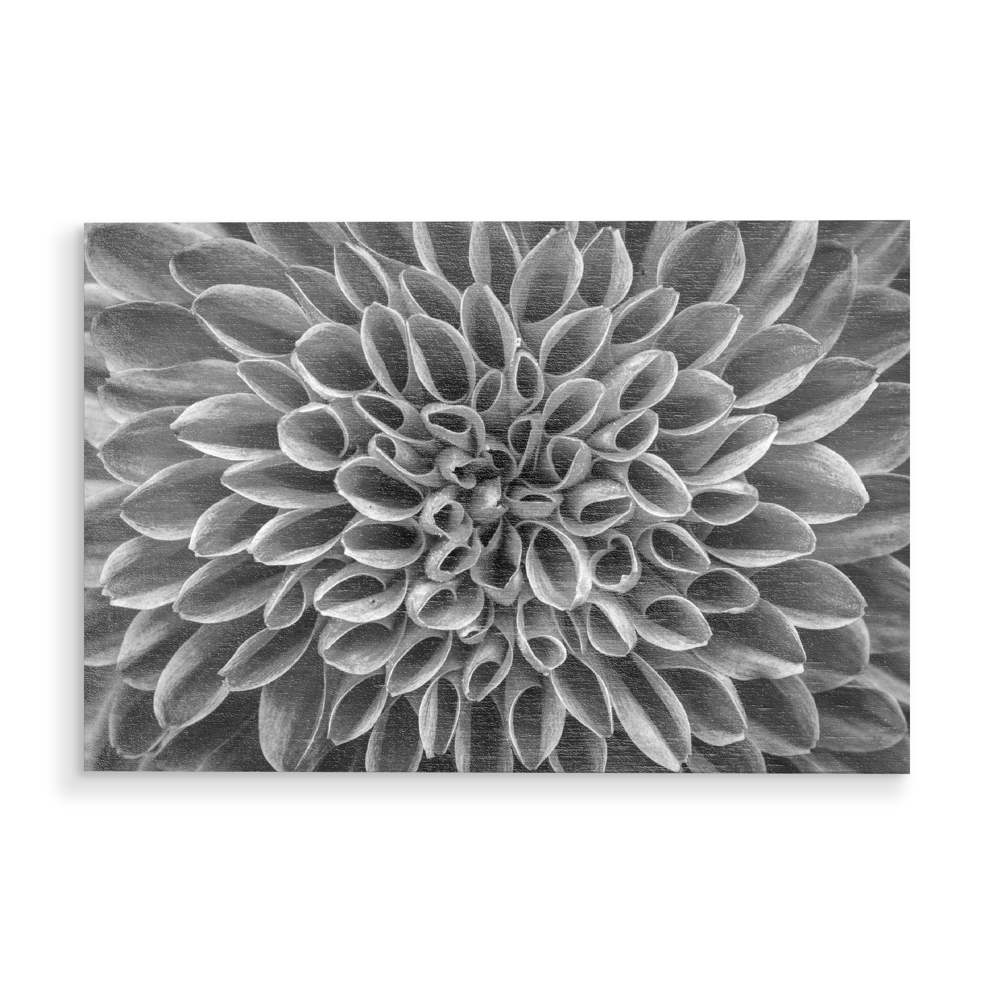 Holzbild "Blüten Muster" artboxONE - Floral,Abstrakt,Schwarzweiß - Blüte,Blume