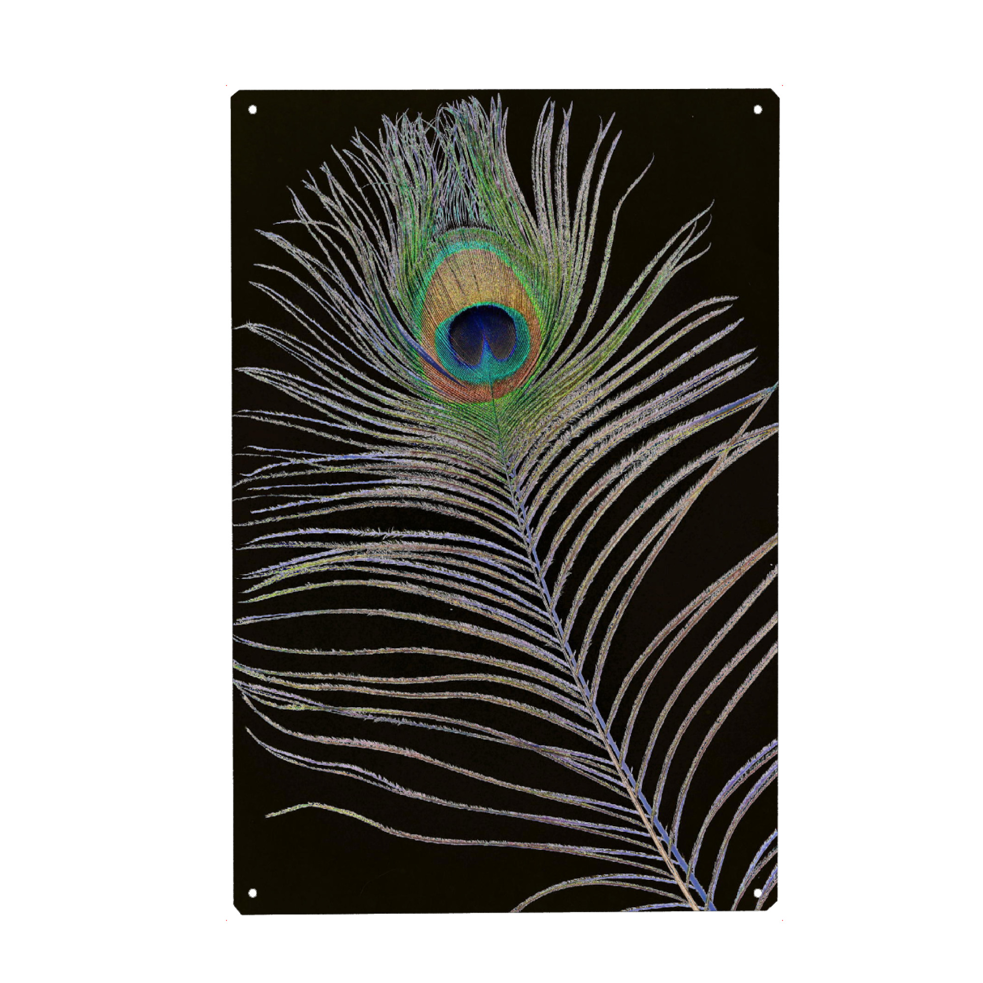 Metall Poster "Pfauenauge Feder solar" artboxONE - Tiere,Abstrakt - Pfau,Pfauen feder - Blechschild