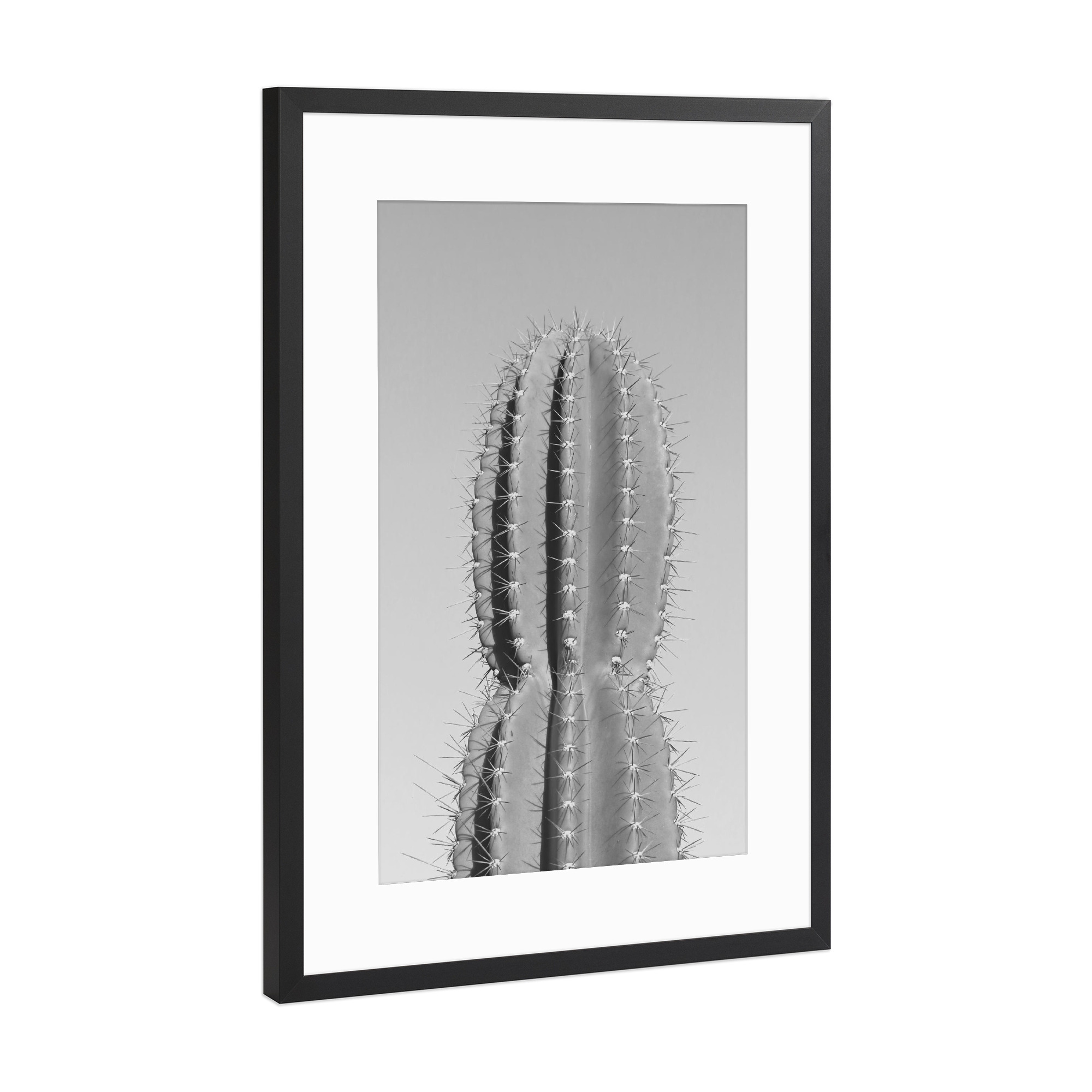 Poster mit Rahmen Schwarz (Metallic) "Stacheliger Kaktus grau" artboxONE - Natur,Schwarzweiß,Reise / Afrika - Kaktus