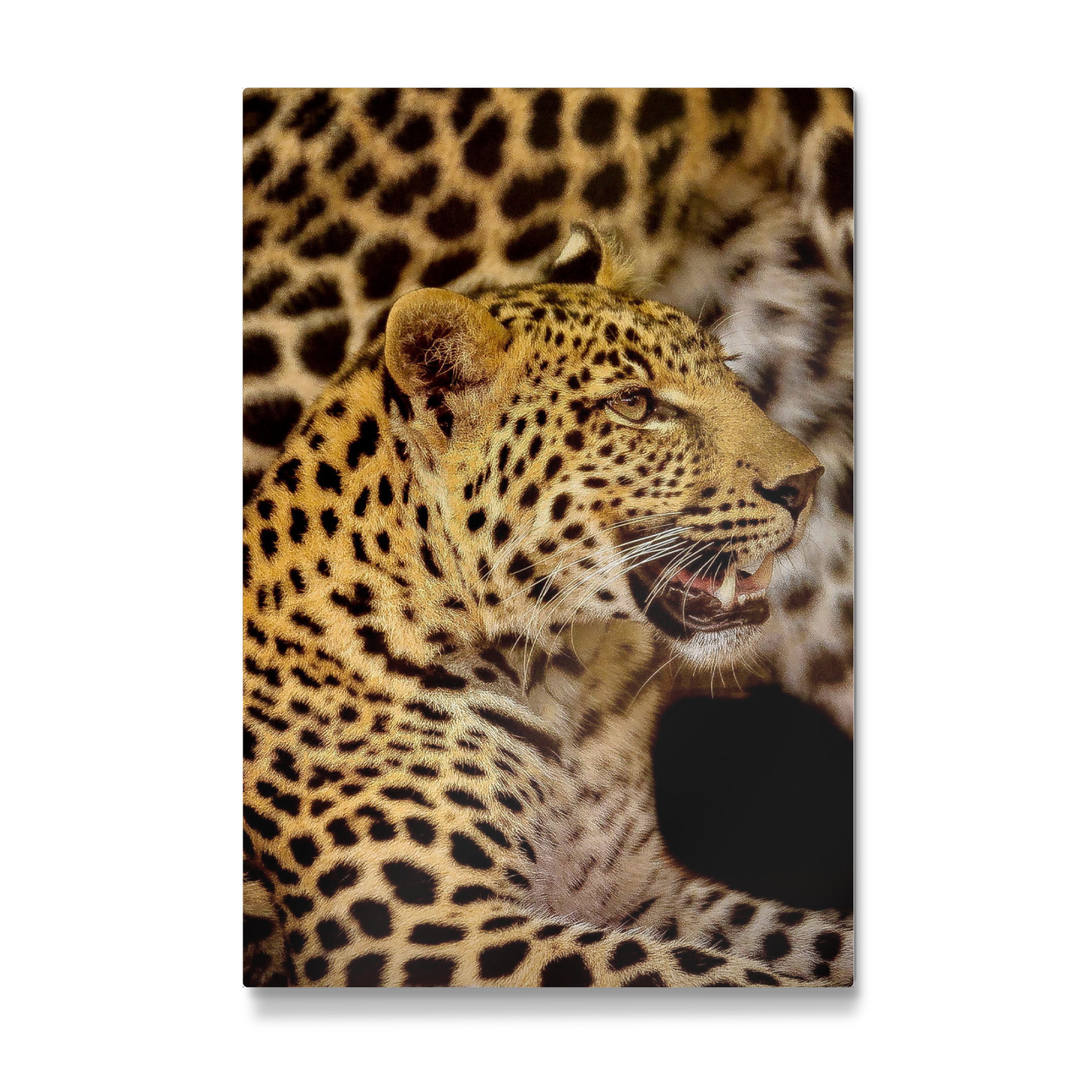 Galerie-Print "Leopard Portrait digital-art" 30x20 cm artboxONE