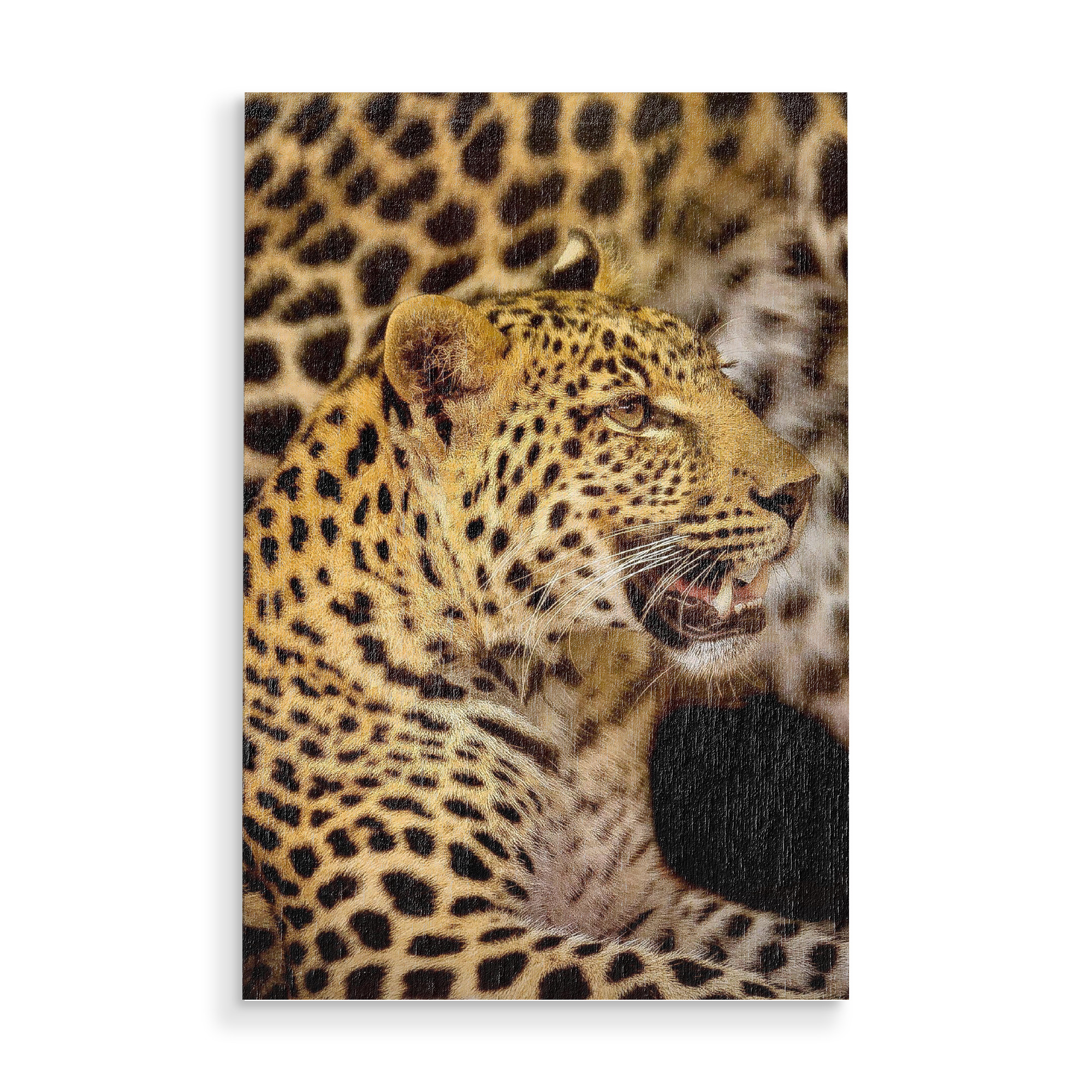 Holzbild "Leopard Portrait digital-art" artboxONE - Tiere,Reise / Afrika - Leopard,Afrika