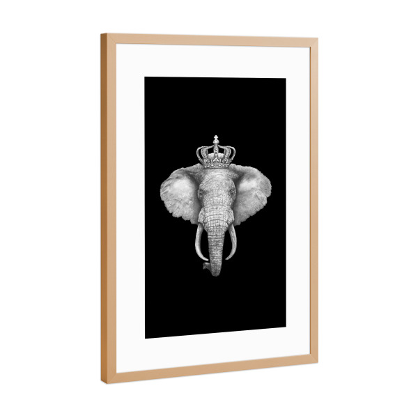 Poster mit Rahmen Kupfer "The King Elephant on black" artboxONE - Tiere - Elephant,African animal,King,Royal,Black and white