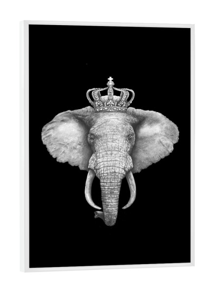 Poster mit weißem Rahmen "The King Elephant on black" artboxONE - Tiere - Elephant,African animal,King,Royal,Black and white