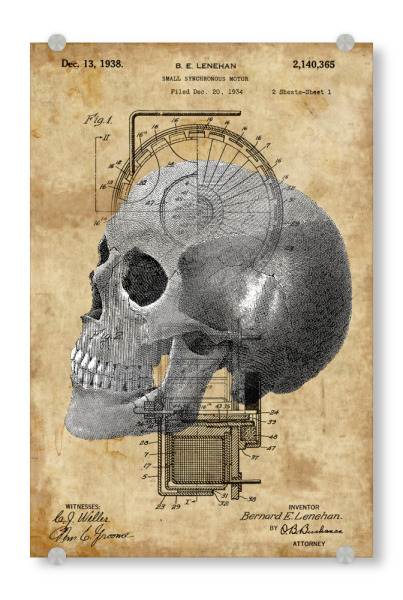 Acrylglasbild "Vintage Schädel" artboxONE - Menschen - Schädel,Anatomie,Steampunk,Vintage,Skelett