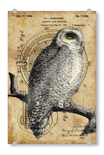 Acrylglasbild "Antik Eule" artboxONE - Tiere - Eule,Steampunk,Retro,Vintage