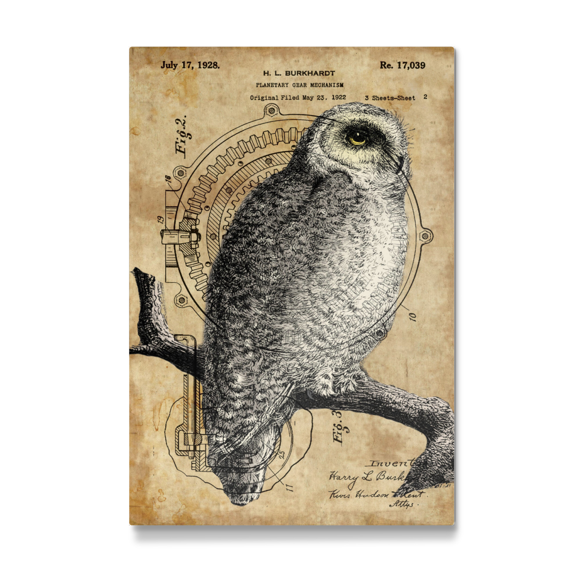 Galerie-Print "Antik Eule" 30x20 cm artboxONE