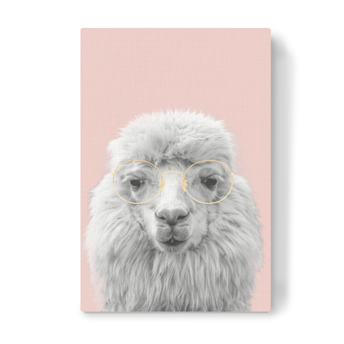 Unlocking the Canvas: The Enchanting World of Alpaka Bild Leinwand