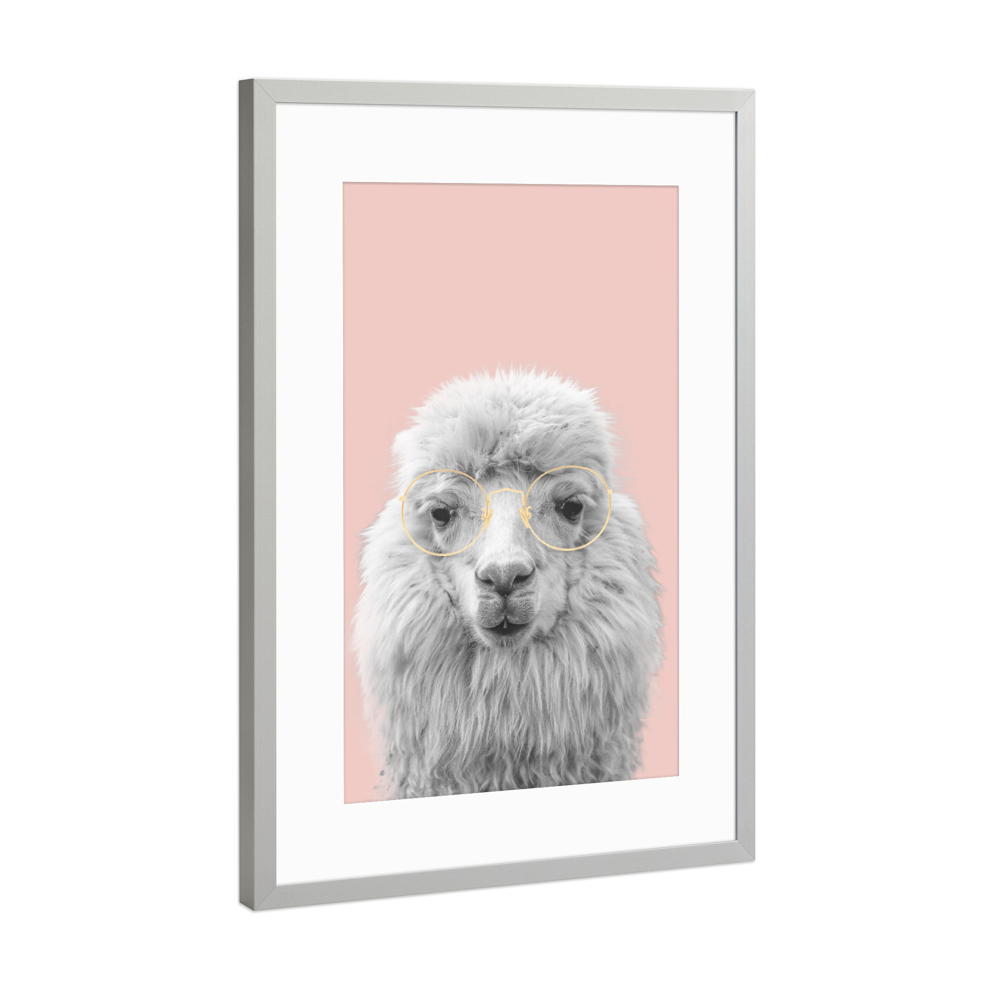 Poster mit Rahmen Silber "Stylish Alpaca" artboxONE - Tiere - Animal,Alpaca