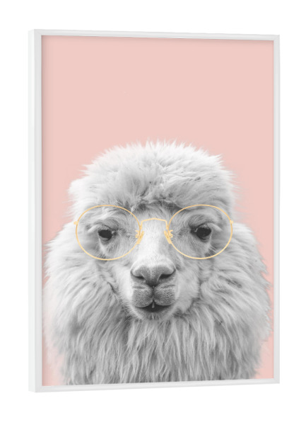 Poster mit weißem Rahmen "Stylish Alpaca" artboxONE - Tiere - Animal,Alpaca