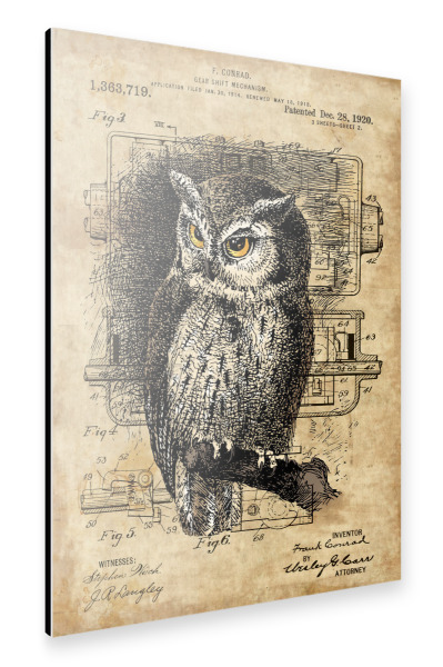 Alu-Dibond "Eule auf einem Baum" 30x20 cm artboxONE