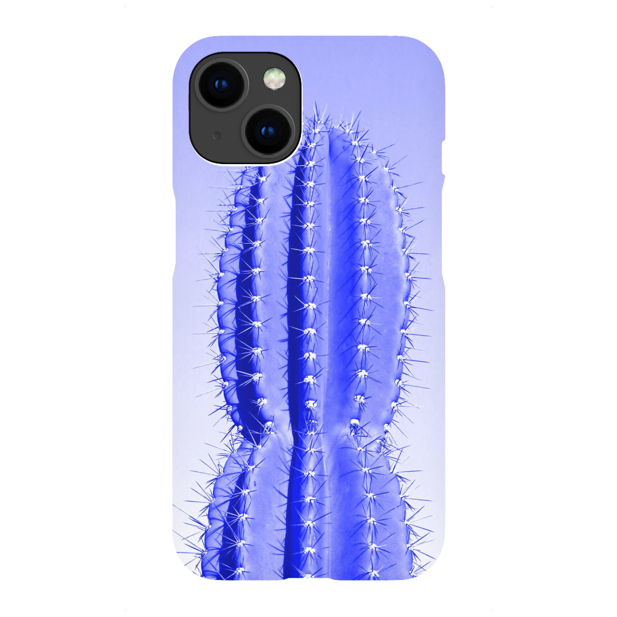 iPhone "Stacheliger Kaktus blau" Premium-Case Handyhülle artboxONE