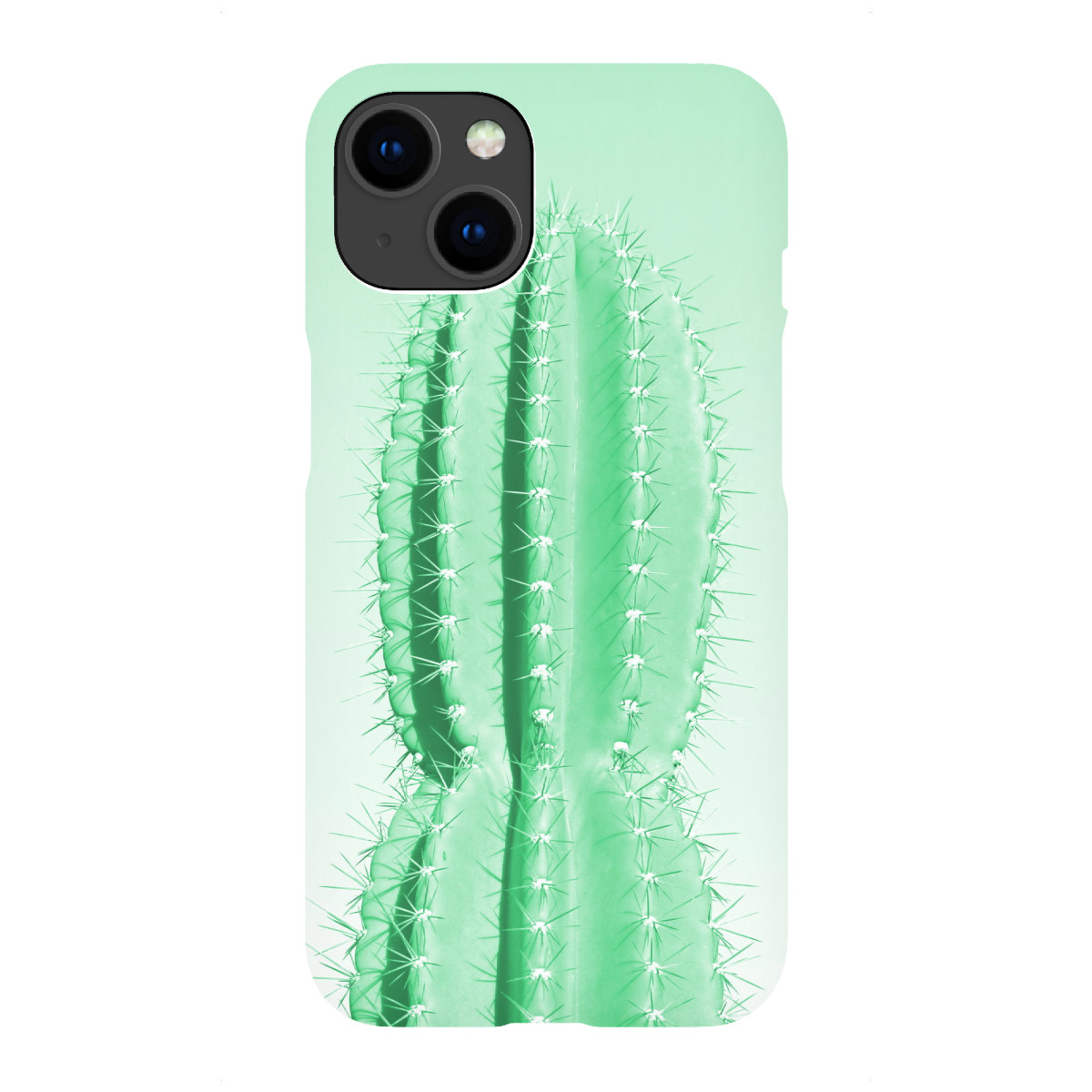"Stacheliger Kaktus grün"für iPhone - Premium-Case Handyhülle artboxONE