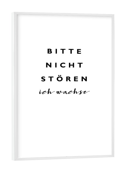 Poster mit weißem Rahmen "Bitten nicht stören ich wachse" artboxONE - Typografie,Für Kinder,Schwarzweiß,Lustig - Stören,Wachsen,Lustig
