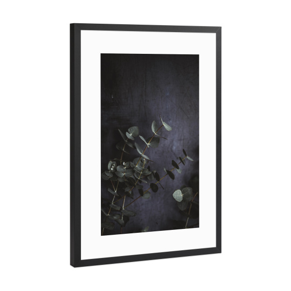 Poster mit Rahmen Schwarz (Metallic) "Eucalyptus leaves Photography" artboxONE - Floral - Eukalyptus,Eukalyptusblatt,Botanisch