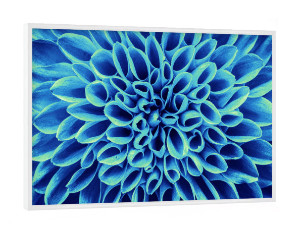 Poster mit weißem Rahmen "Blume blau türkis" artboxONE - Floral,Abstrakt - Blume,Abstrakt,Pflanze