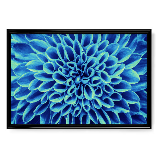 Blume blau türkis