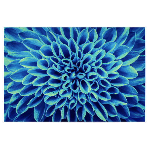 Poster 30x20 cm "Blume blau türkis" artboxONE - Floral,Abstrakt - Blume,Abstrakt,Pflanze