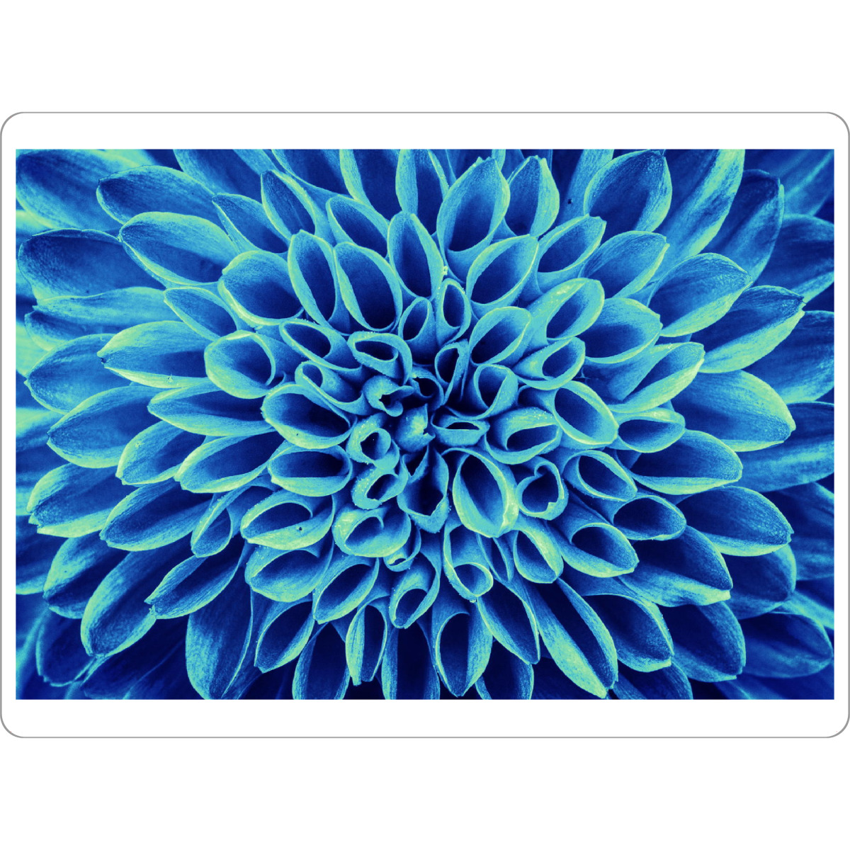 Tischset "Blume blau türkis" artboxONE - Floral,Abstrakt - Blume,Abstrakt,Pflanze - Bild blume