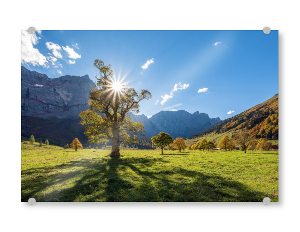 Acrylglasbild "Großer Ahornboden in Österreich" artboxONE - Natur - Ahorn,Herbst,Alpen,Berge