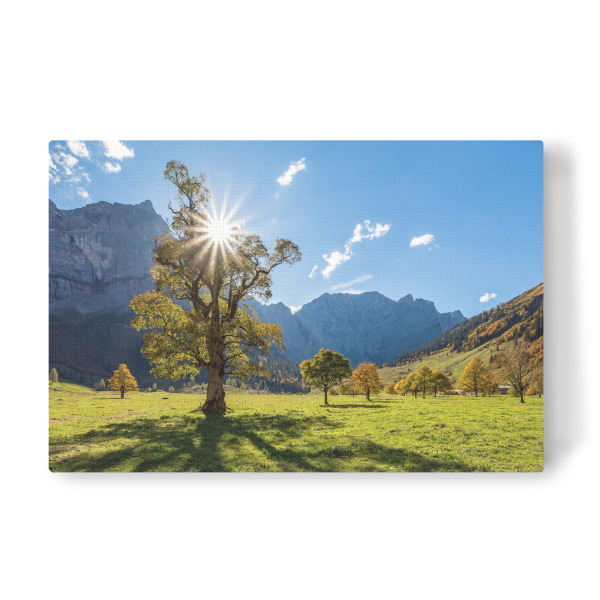Leinwandbild "Großer Ahornboden in Österreich" artboxONE - Natur - Ahorn,Herbst,Alpen,Berge