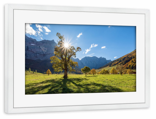 Poster mit Rahmen weiß "Großer Ahornboden in Österreich" artboxONE - Natur - Ahorn,Herbst,Alpen,Berge