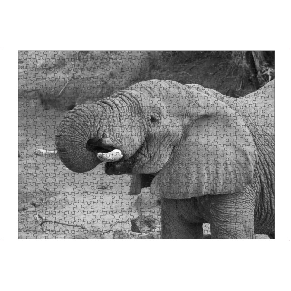 Puzzle Ravensburger "Elefant trinkt" artboxONE - Tiere,Schwarzweiß,Reise / Afrika - Elefant,Afrika - Bild elefant