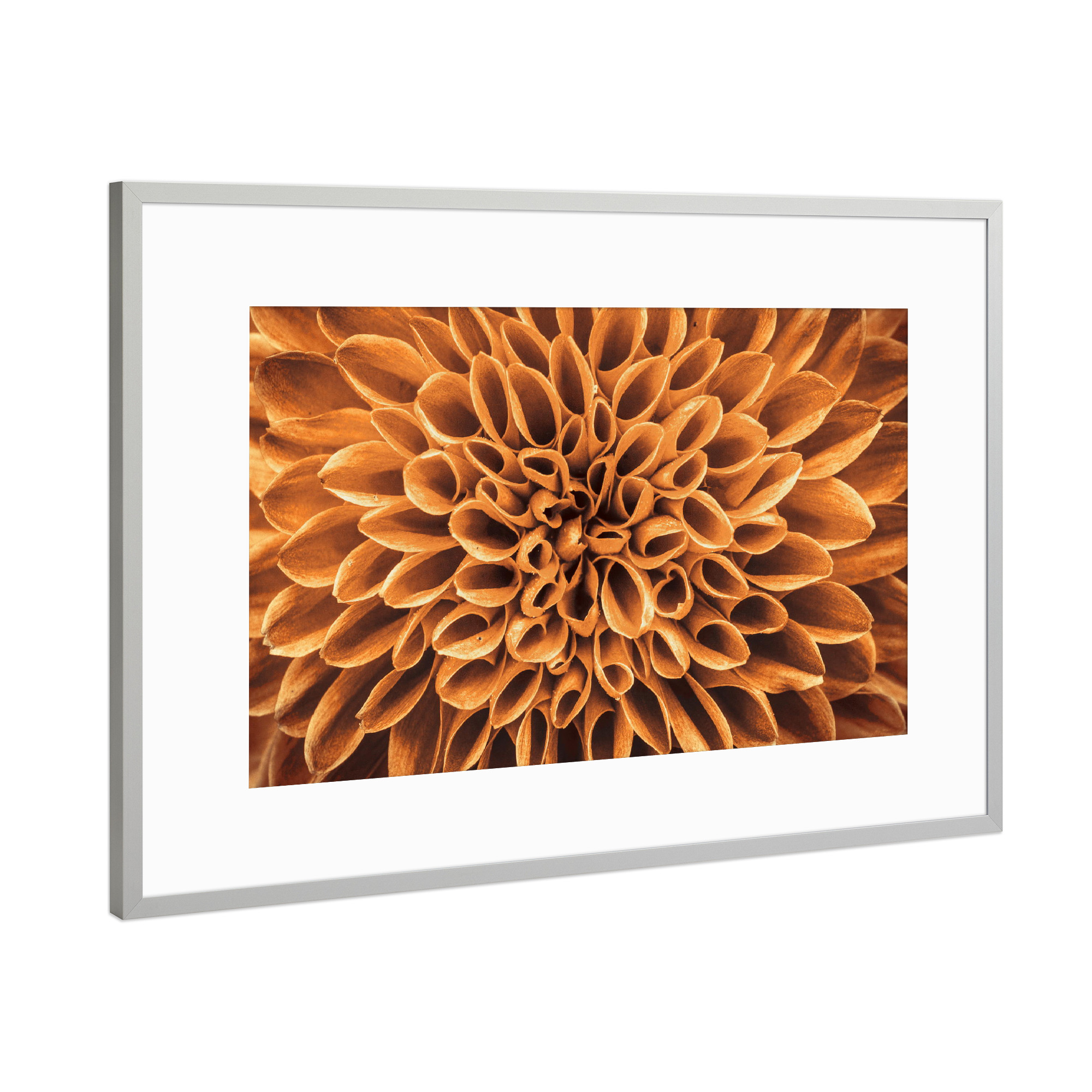 Poster mit Rahmen Silber "Blume gold braun" artboxONE - Floral,Abstrakt - Pflanze,Pattern,Blüte