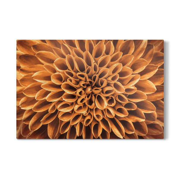 Galerie-Print "Blume gold braun" 30x20 cm artboxONE