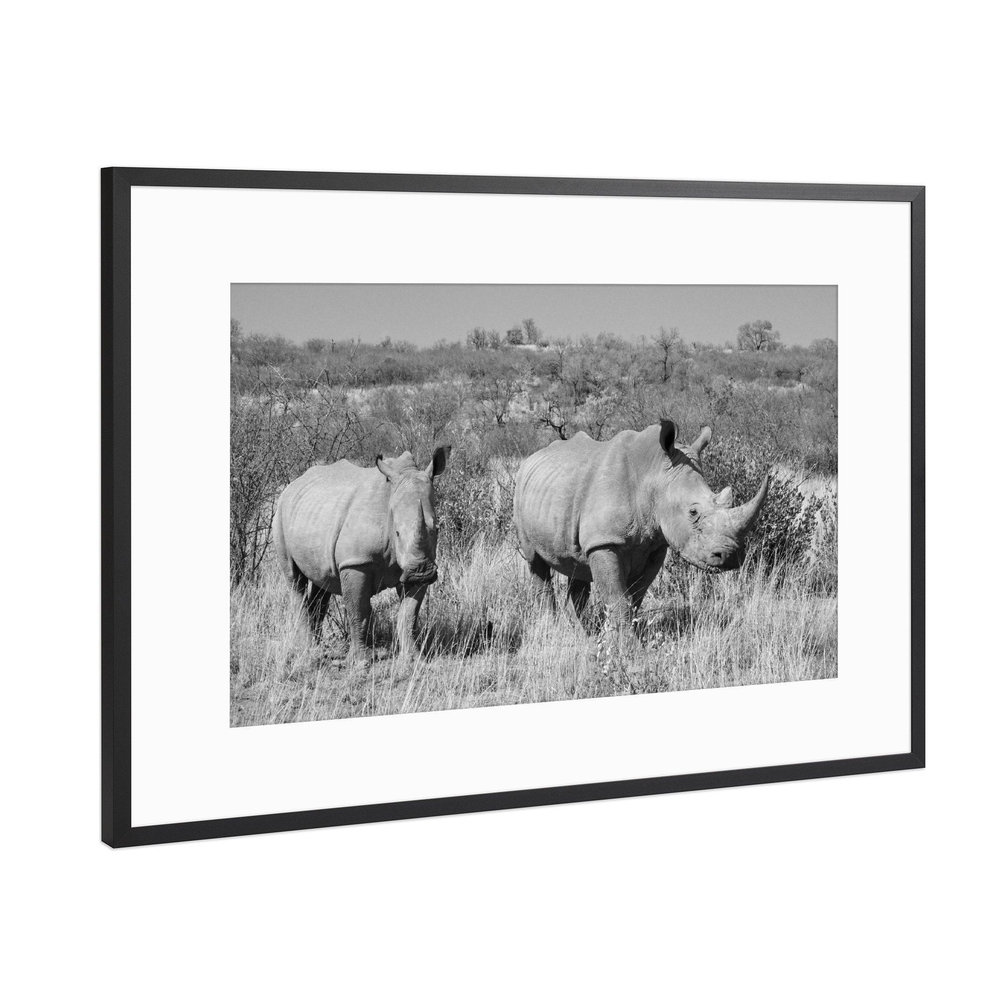 Poster mit Rahmen Schwarz (Metallic) "Rettet die Nashörner" artboxONE - Tiere,Schwarzweiß,Reise / Afrika - Nashorn,Afrika