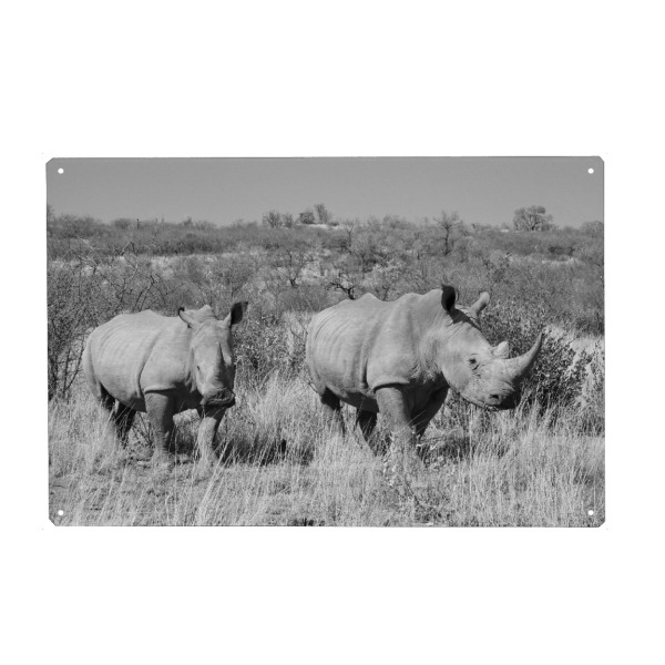 Holzbild "Rettet die Nashörner" artboxONE - Tiere,Schwarzweiß,Reise / Afrika - Nashorn,Afrika