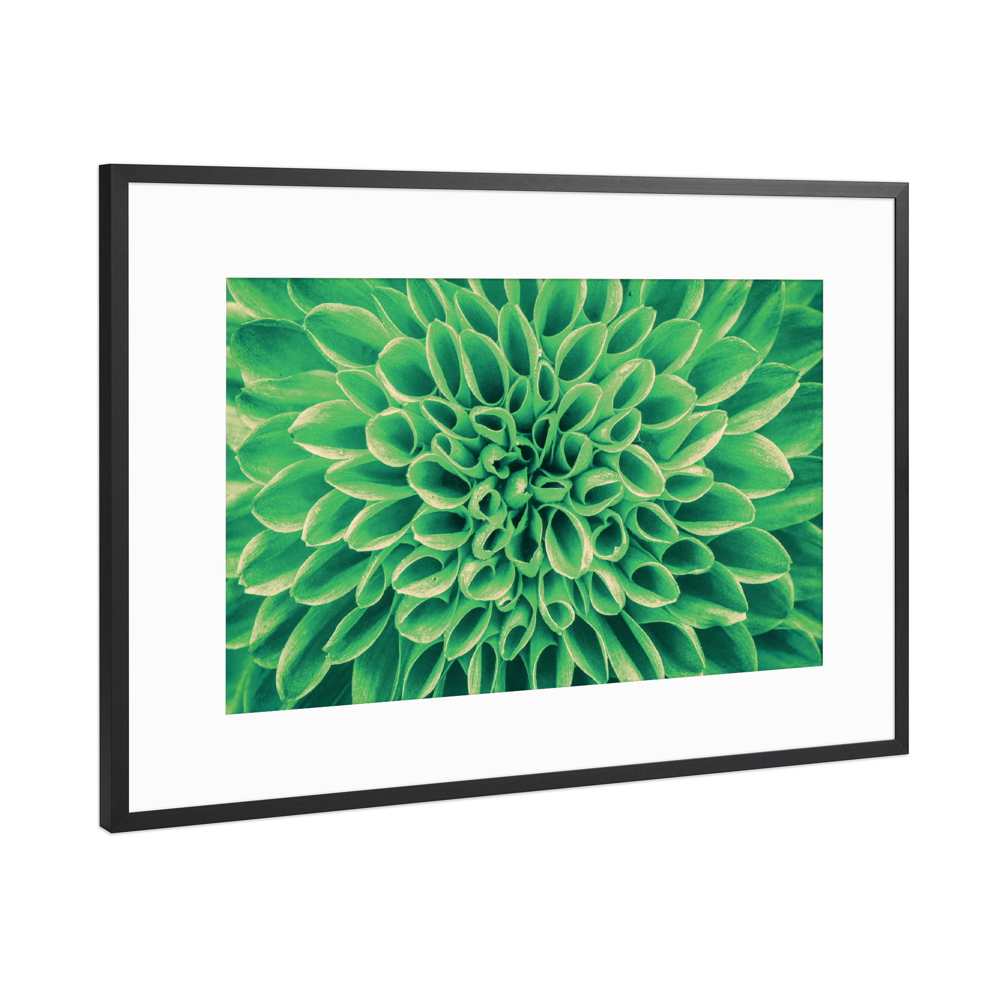 Poster mit Rahmen Schwarz (Metallic) "Blume mint grün" artboxONE - Floral,Abstrakt - Blüte,Pattern,Pflanze