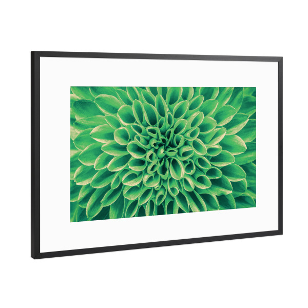 Poster mit Rahmen Schwarz (Metallic) "Blume mint grün" artboxONE - Floral,Abstrakt - Blüte,Pattern,Pflanze